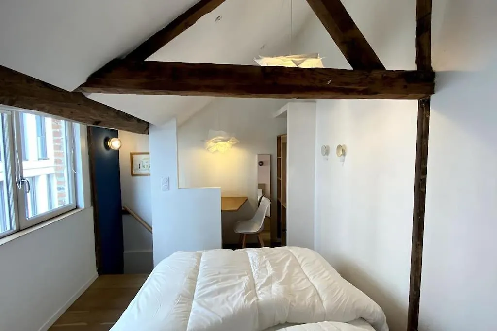 Maisonnette Charme Vieux Lille ! Holiday home